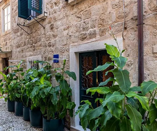 B&B Buza House